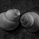 Intimacy-2